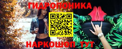 гашик Тверь